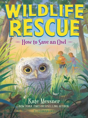 cover image of How to Save an Owl